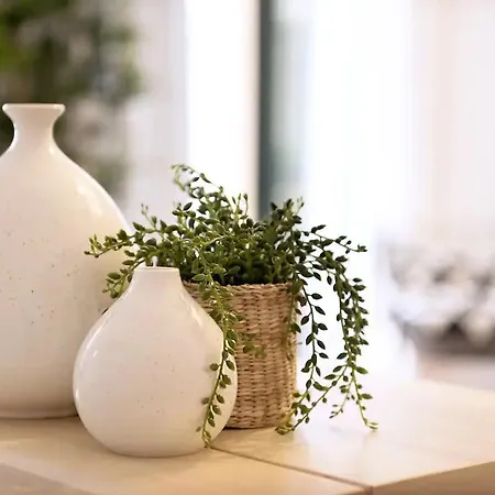 Vayadu' Arabesque Gæstehus Alassio