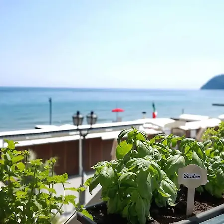 Vayadu' Arabesque Guest house Alassio